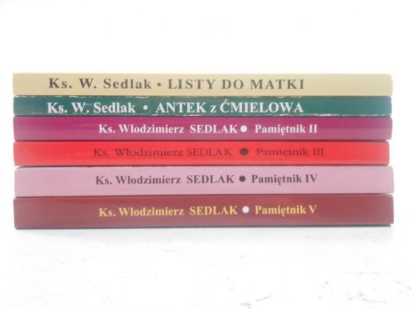 Pamiętnik, Tom I-V / Listy do Matki