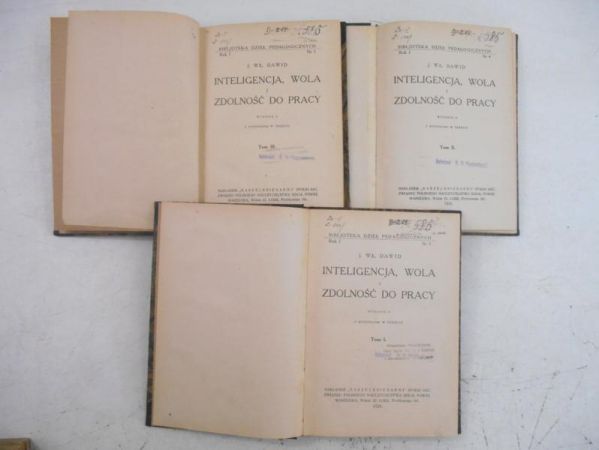 Dawid J. Wł. - Inteligencja, wola i zdolność do pracy, 1926 r.