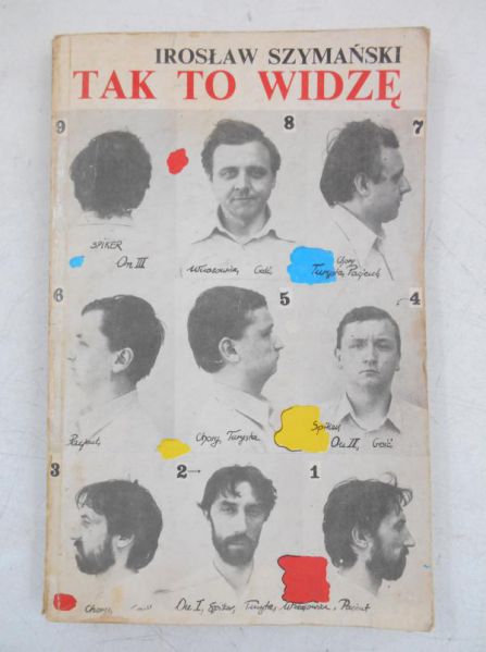 Tak to widzę