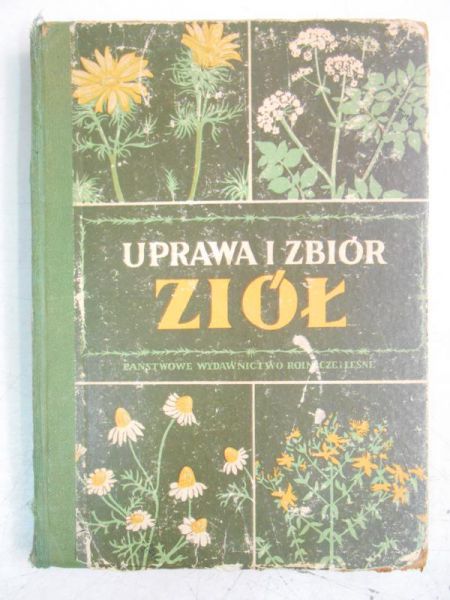 Cybulska H. - Uprawa i zbiór ziół