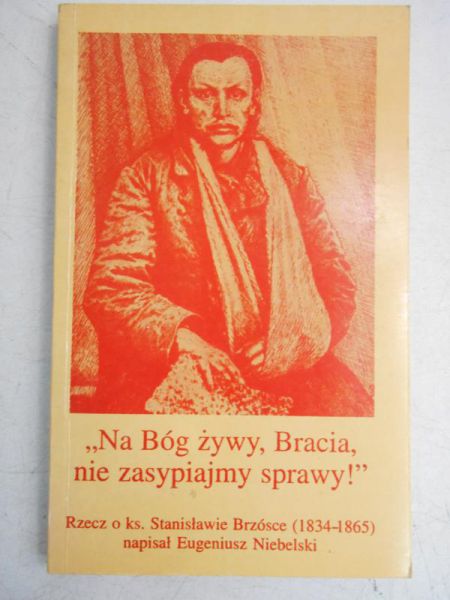 Niebelski Eugeniusz - Na Bóg żywy, Bracia nie zasypiamy sprawy!  Rzecz o ks. Stanisławie Brzósce (1834-1865)