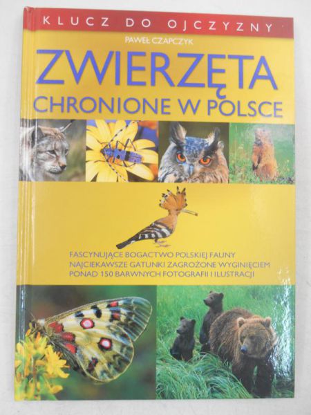 Zwierzęta. Chronione w Polsce