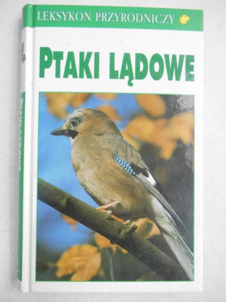 Ptaki lądowe