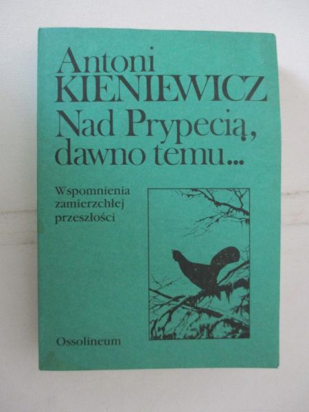 Nad Prypecią, dawno temu…