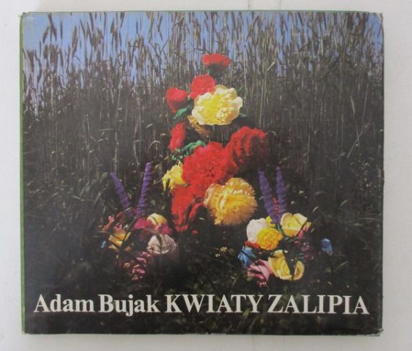 Kwiaty Zalipia
