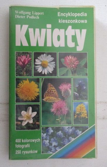 Kwiaty
