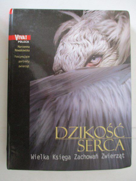 Dzikość serca