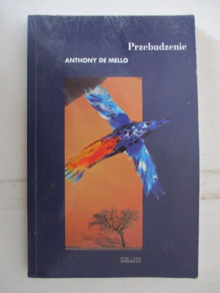De  - Przebudzenie