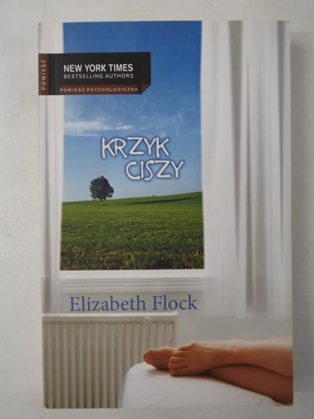 Krzyk ciszy