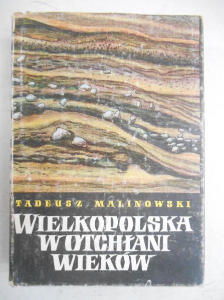 Wielkopolska w otchłani wieków
