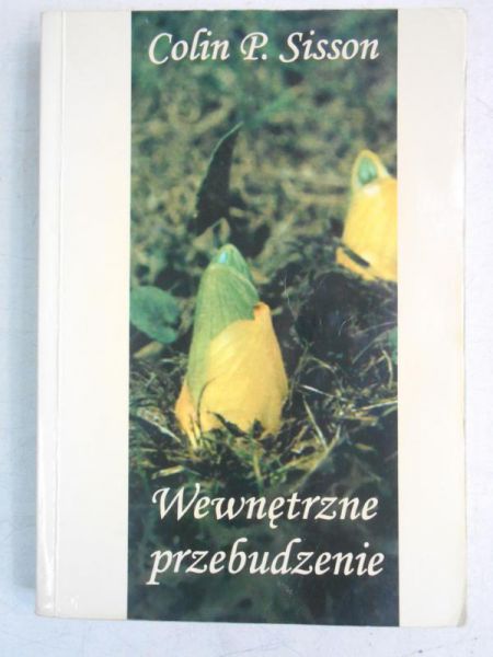 Wewnętrzne przebudzenie