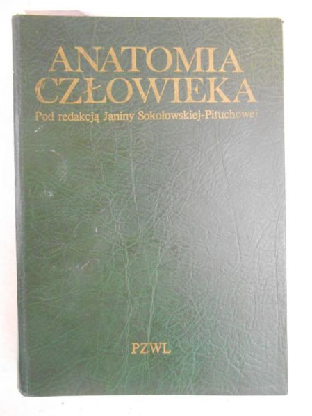 Anatomia człowieka