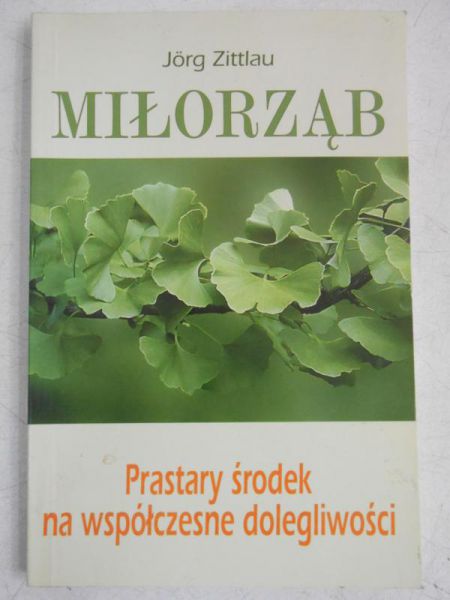Jorg - Miłorząb