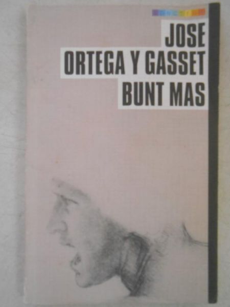Y    - Bunt mas