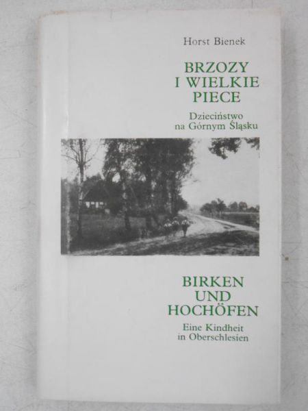 Brzozy i wielkie piece. Dzieciństwo na Górnym Śląsku