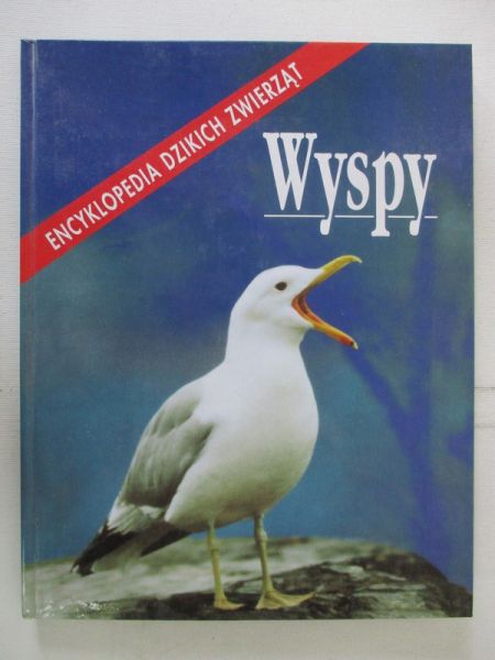 Wyspy