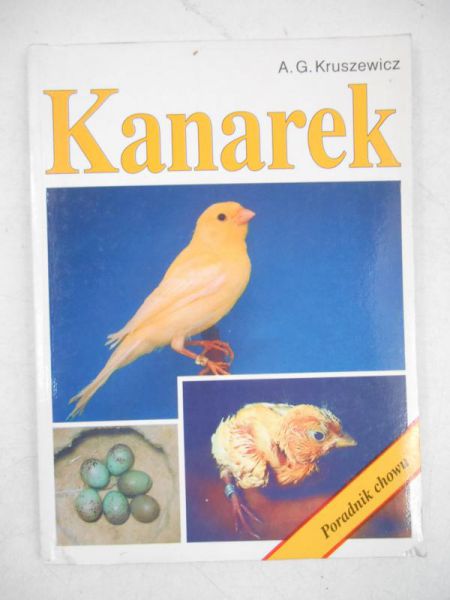 Kanarek