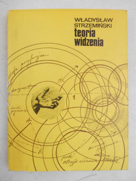 Teoria widzenia