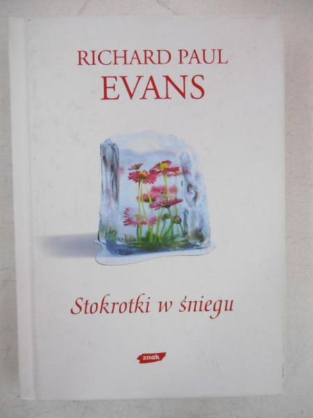 Stokrotki w śniegu