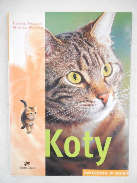 Koty