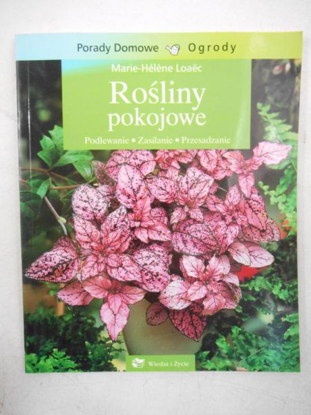 Rośliny pokojowe