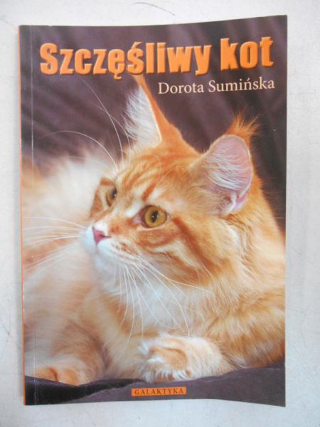 Szczęśliwy kot 