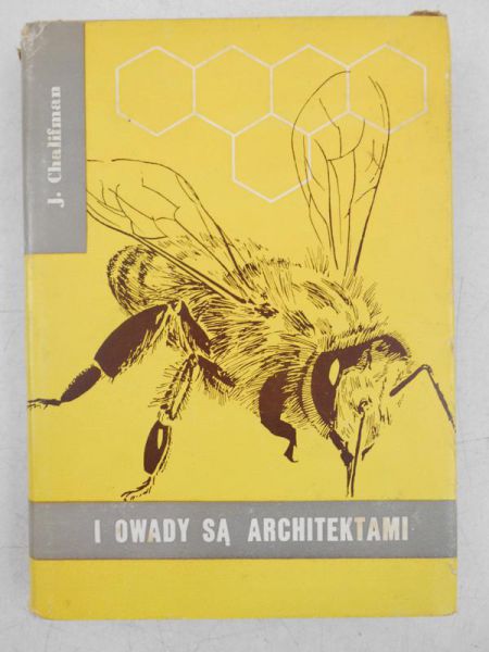 I owady są architekatmi
