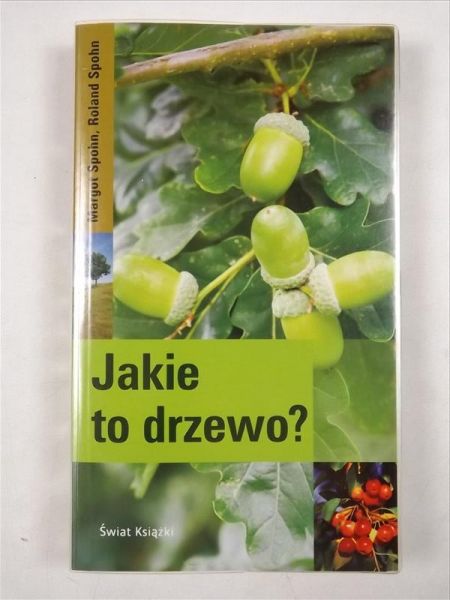 Jakie to drzewo?