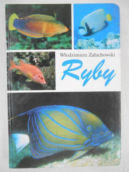 Ryby