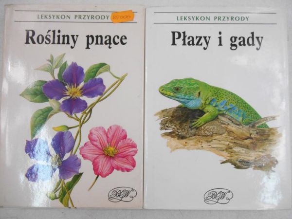 Rośliny pnące  Płazy i gady