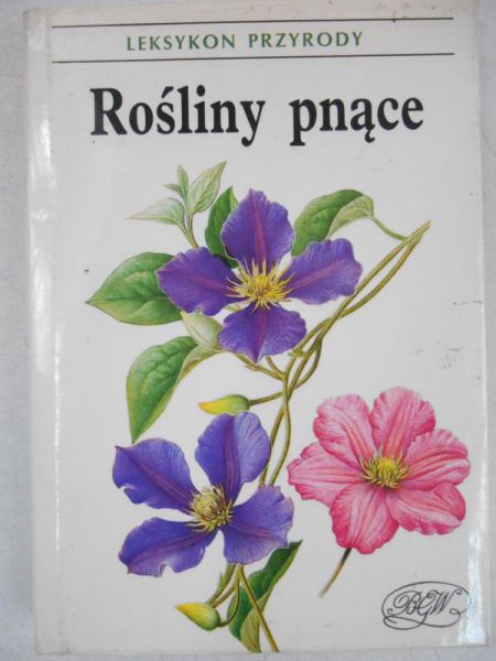 Rośliny pnące