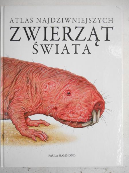 Hammond Paula - Atlas najdziwniejszych zwierząt świata