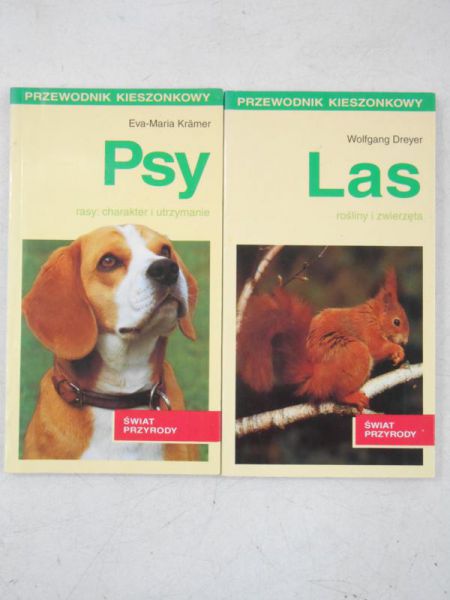 Psy  Las