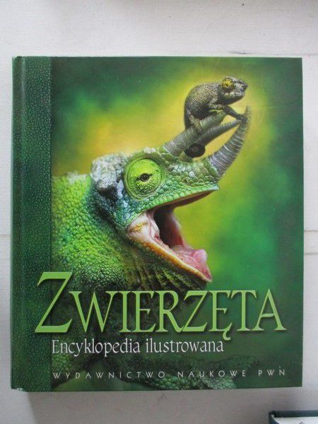 Zwierzęta. Encyklopedia ilustrowana