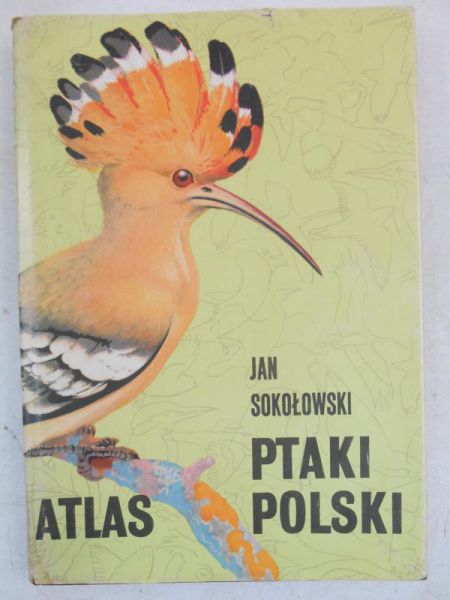 Ptaki Polski