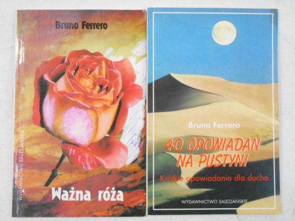 40 opowiadań na pustyni / Ważna róża