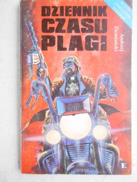 Dziennik czasu plagi