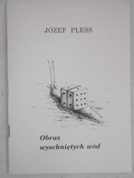 Obraz wyschniętych wód