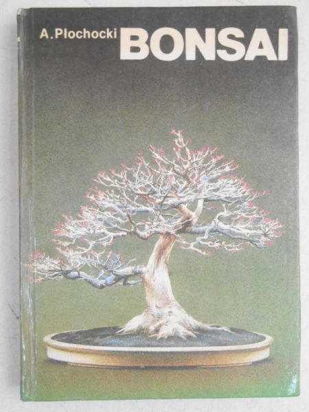 Bonsai-sztuka miniaturyzacji drzew i krzewów