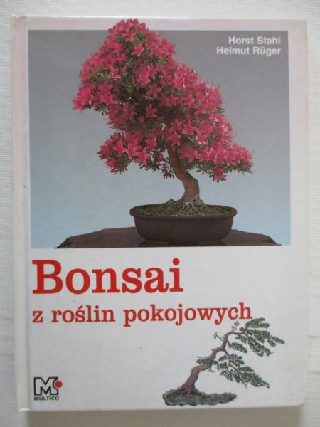 Bonsai z roślin pokojowych