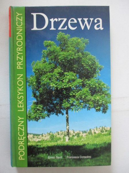 Drzewa