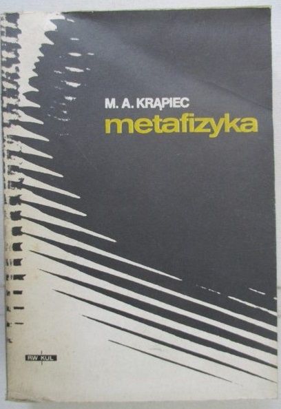 Metafizyka
