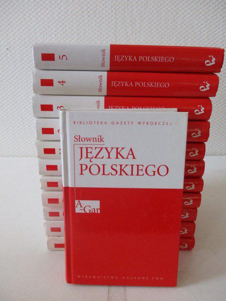 Biblioteka Gazety Wyborczej, Tom I-XII