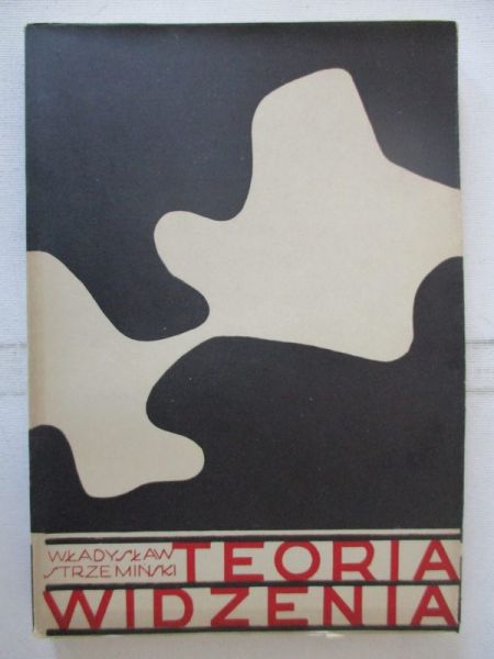Teoria widzenia