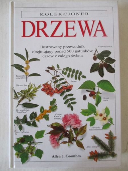 . - Drzewa