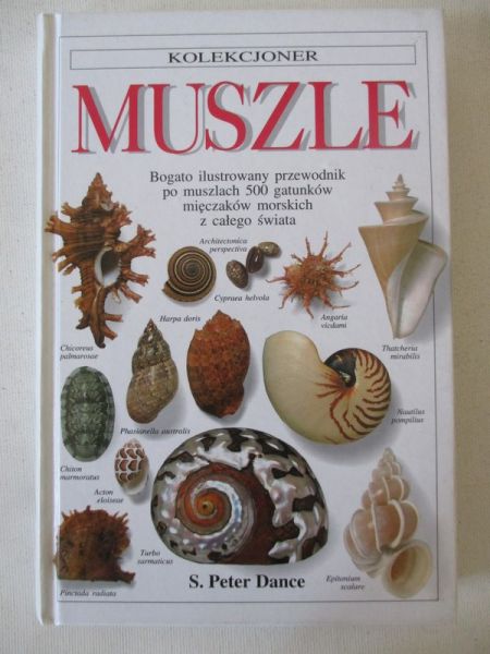 Dance Peter S. - Muszle