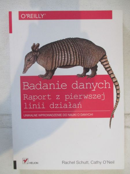 Badanie danych. Raport z pierwszej linii działań