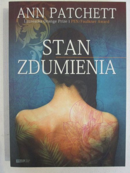 Stan zdumienia