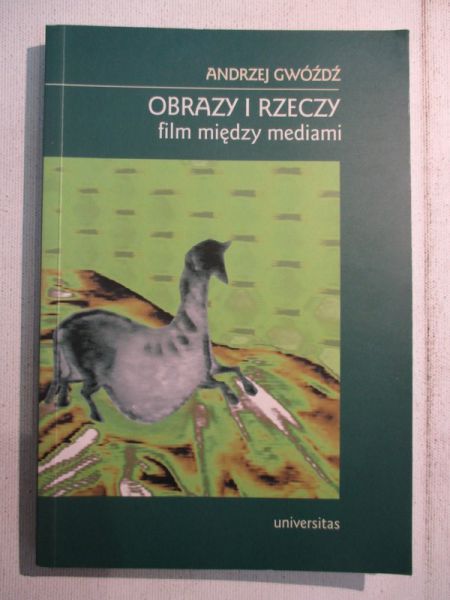 Obrazy i rzeczy. Film między mediami