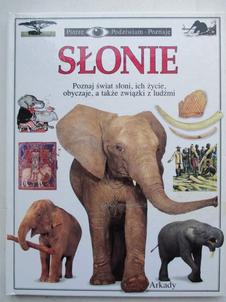 Słonie. Patrzę, podziwiam, poznaję